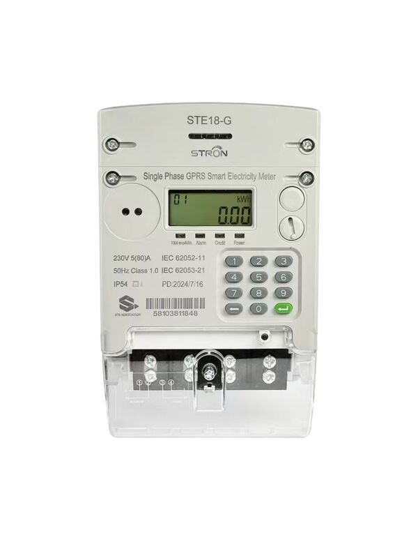 STS Prepaid Meter با ارتباط 4G LTE کلاس 1.0 دقت و IP54 ضد آب Smart Prepaid Electricity Meter