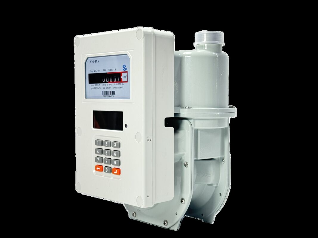 STS پیش پرداخت Smart Gas Meter مجهز به تشخیص دستکاری، به روز رسانی از راه دور نرم افزار و هشدار مصرف در زمان واقعی برای شرکت های خدمات گاز