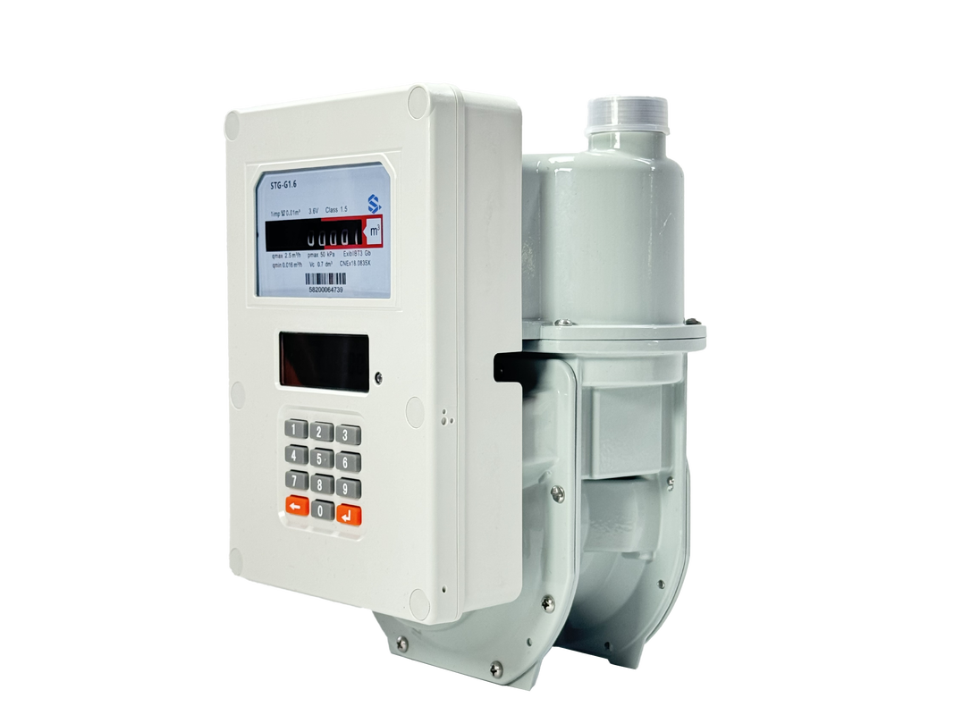 STS Prepaid Gas Meter G1.6/G2.5 Size with IP67 Waterproof and Vending Management System