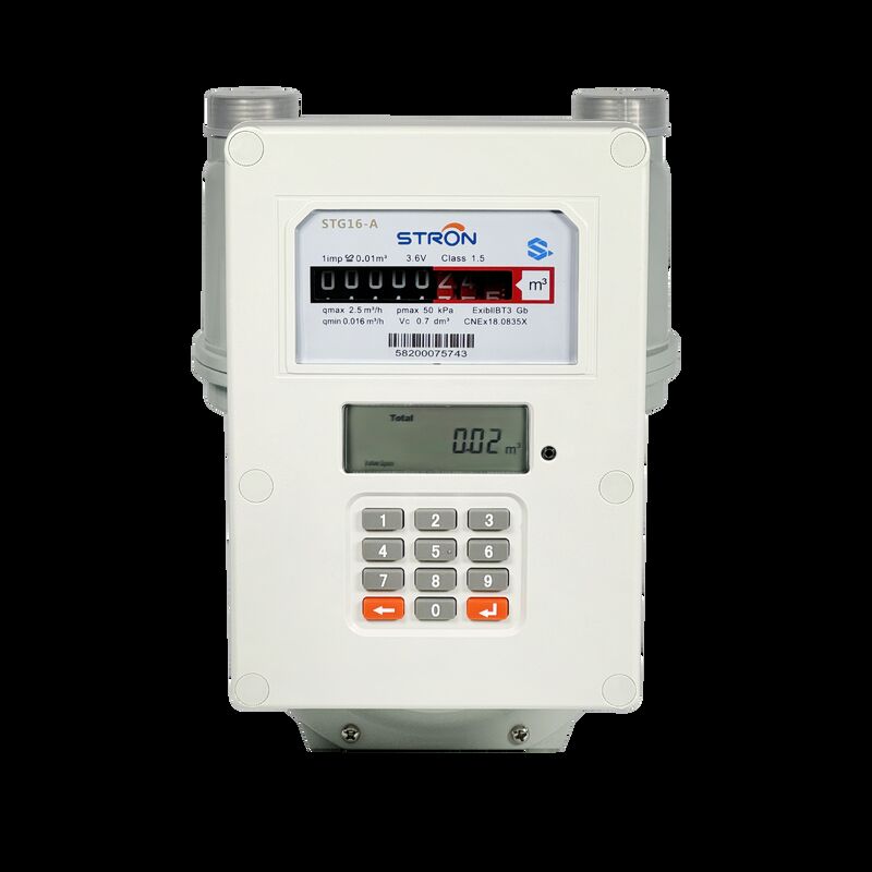 Smart Gas Meter digital meter providing continuous gas flow monitoring and integration with enterprise resource systems
