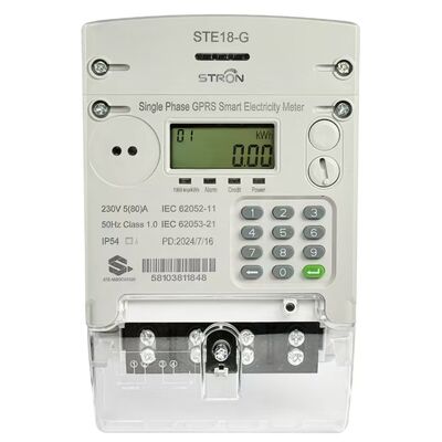 IP54 محافظت شده ضد جعل Smart Prepaid 4G/GSM/GPRS Electricity Meter با نرم افزار فروش STS